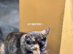 -龙华寺