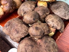 -草墩罗非鱼庄•野生菌•腊排骨(七星街上段店)