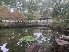 -秋霞圃