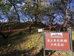 -元大都城垣遗址公园