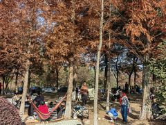 -白鹭湾湿地公园