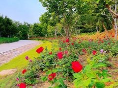 -北京西山国家森林公园