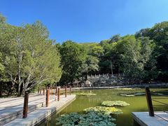 -香山公园