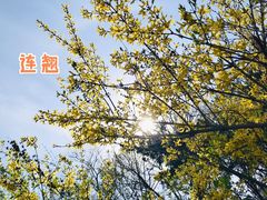 -北京西山国家森林公园