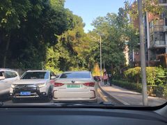 -深圳仙湖植物园