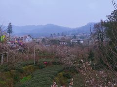 -樱桃山旅游景区