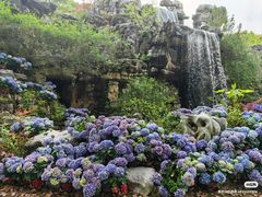 -上海鲜花港