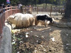 -无锡动物园·太湖欢乐园