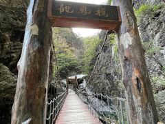-牛背梁国家森林公园