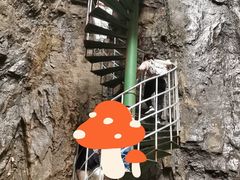 -十渡东湖港风景区