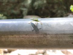 -广东大峡谷