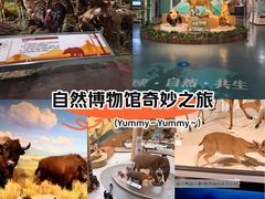 -陕西自然博物馆