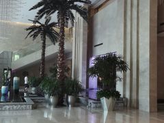 -常州环球恐龙城维景国际大酒店