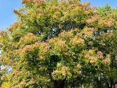 -艾溪湖湿地公园