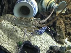 -常州海昌海洋探索馆