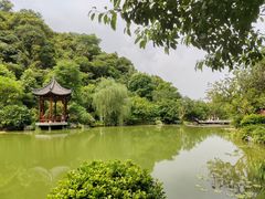 -云溪植物园