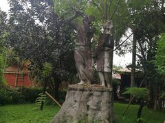 -瑞丽独树成林风景区