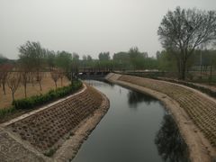 -毛遂公园
