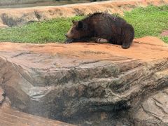 -海南热带野生动植物园