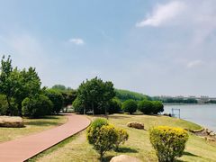 -丁香湖公园