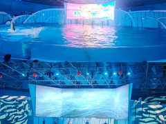 -海合安青岛极地海洋公园