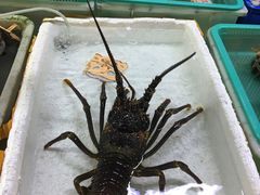-海儀美食楼(湾仔海鲜街店)