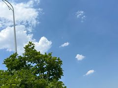 -吕氏疙瘩汤·新鲁菜(潍坊银座店)