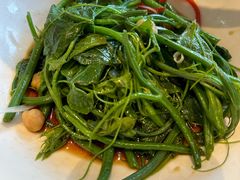 -巴依老爷新疆美食(工体旗舰店)
