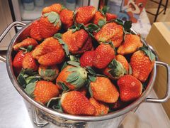 -丸摩堂鲜果茶(九方店)