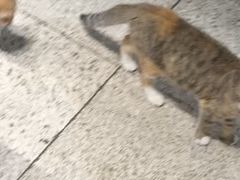 -谷咖啡·鲜花绿植花园餐厅