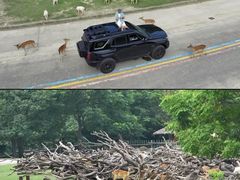 -常州淹城野生动物世界