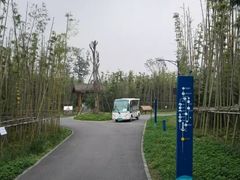 -白鹭湾湿地公园