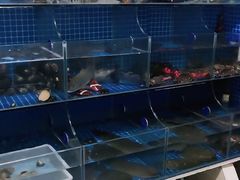 水产区-宾朋海鲜特色美食餐厅·纯手工鲅鱼水饺(兴海路店)