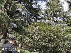 -西安市纺织公园
