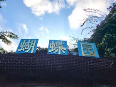 -野象谷景区