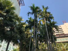 -曼谷铂尔曼皇权酒店