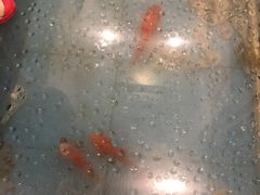 -芝麻花餐厅(祁家豁子店)