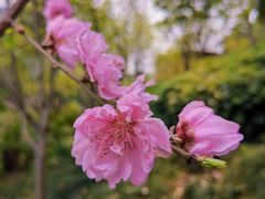 -乌山风景区