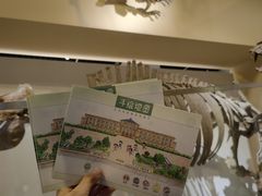 -国家自然博物馆