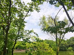 -西溪国家湿地公园