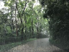 -杭州林泉山庄