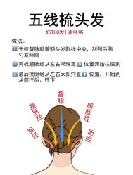 -Bollins波林丝•专研护发中心