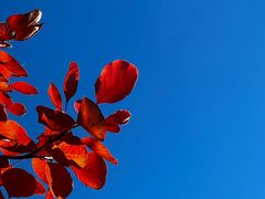 -北京西山国家森林公园