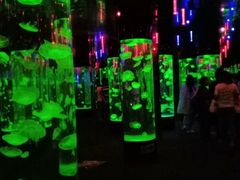 -成都浩海立方海洋公园