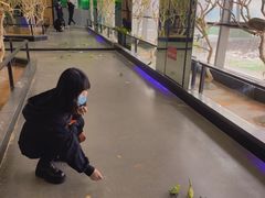 -昆明大悦城未来动物城(螺蛳湾中心店)