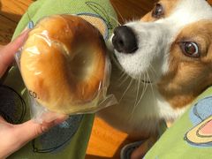 -富贵面包公司(运河店)