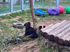 -西安秦岭野生动物园
