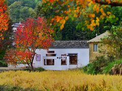 -塔川景区
