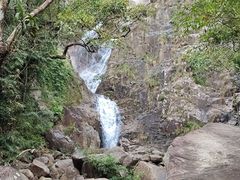-海南霸王岭国家森林公园