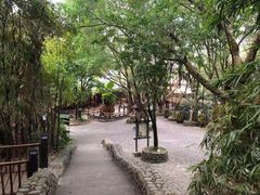 -天门沟九州驿站树上汤泉